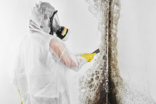 Crawl Space Mold Removal in Makakilo, HI