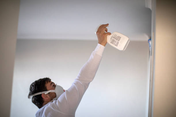 Best Mold Cleaning Services  in Makakilo, HI