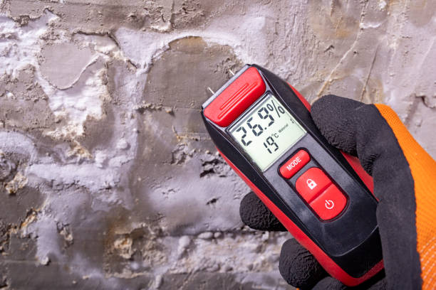 Crawl Space Mold Removal in Makakilo, HI