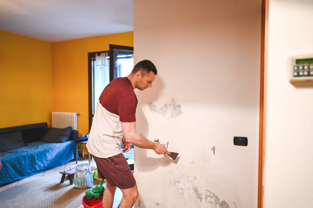 Best Certified Mold Removal  in Makakilo, HI